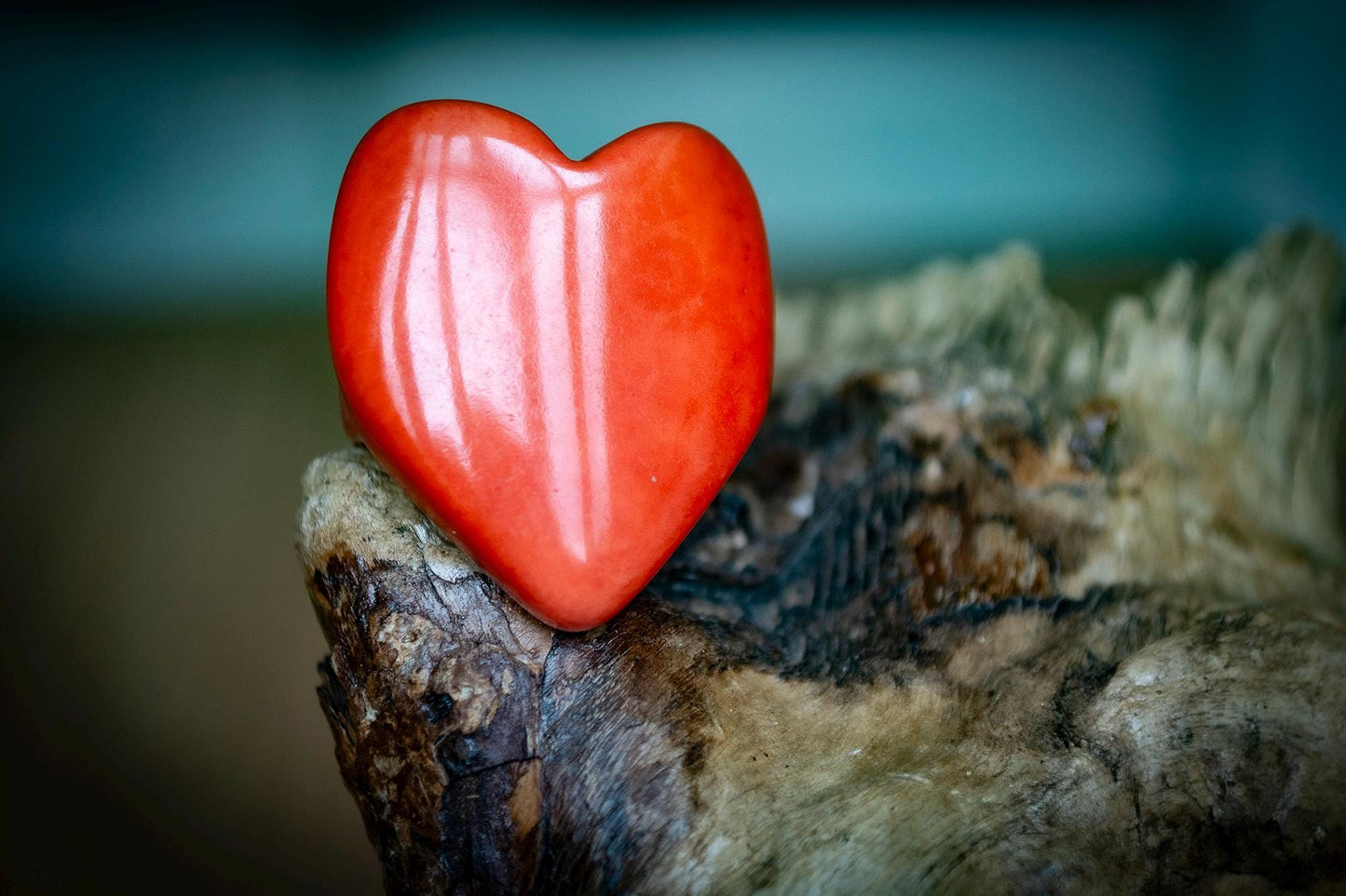 Natural Tagua Heart Rings