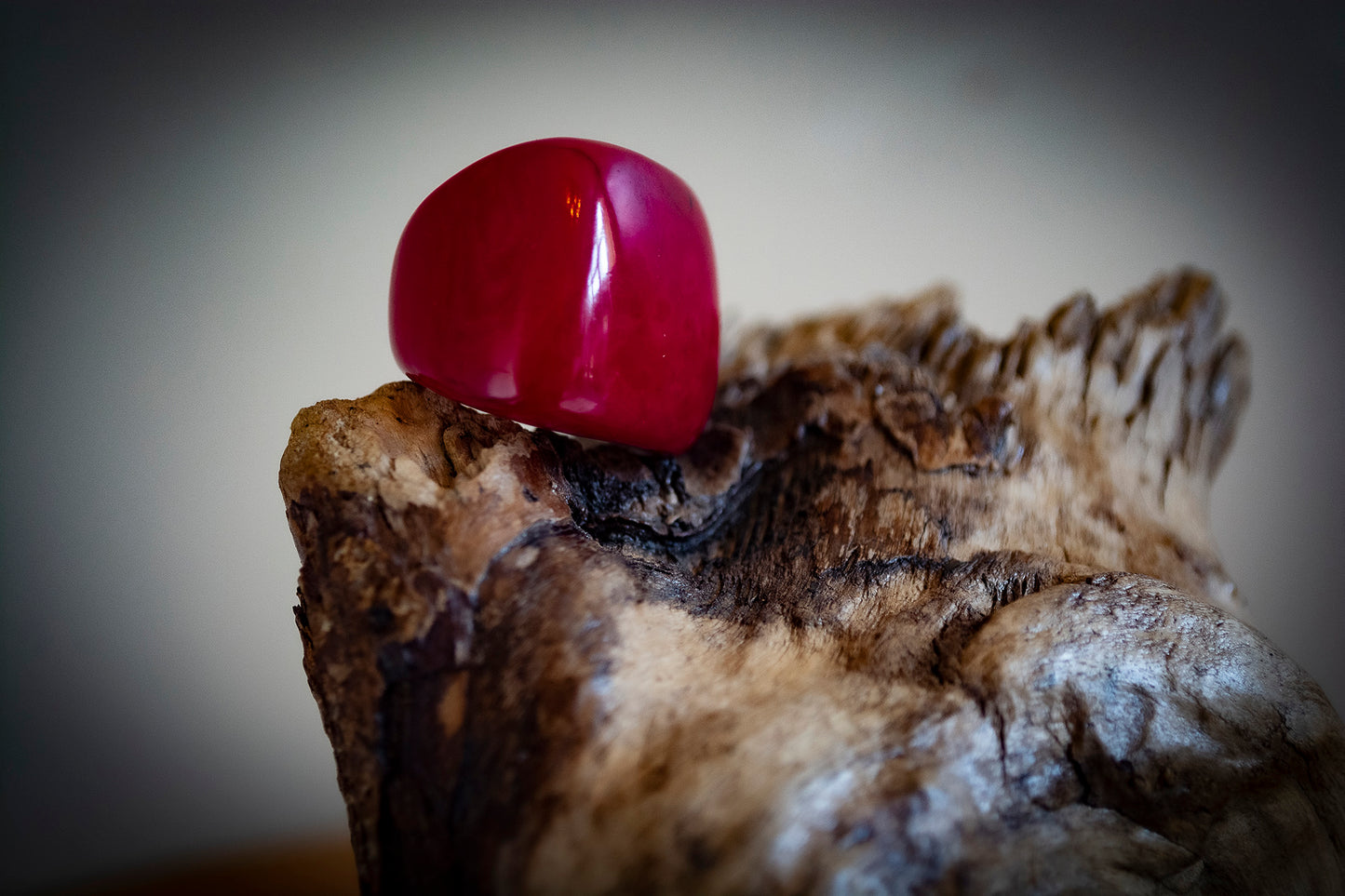 Natural Tagua Rings