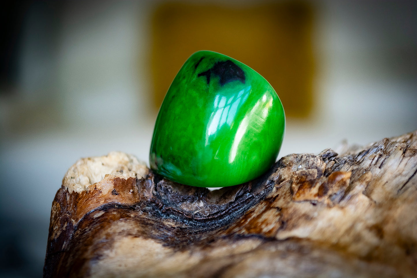 Natural Tagua Rings