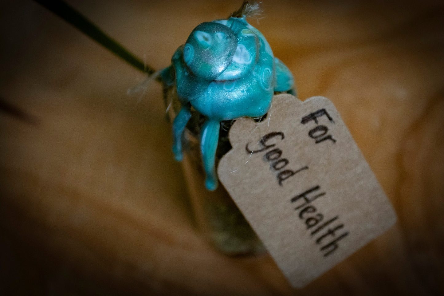 Handmade Intention Jar for Good Health