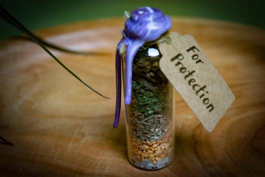 Handmade Intention Jar for Protection