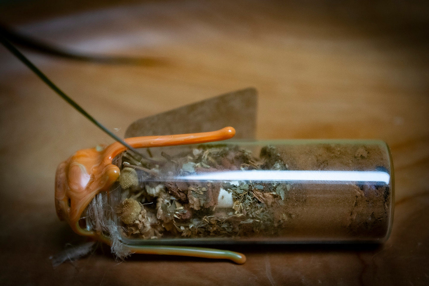Handmade Intention Jar for Attracting Money