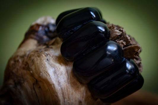 Natural Black Tagua Bracelet
