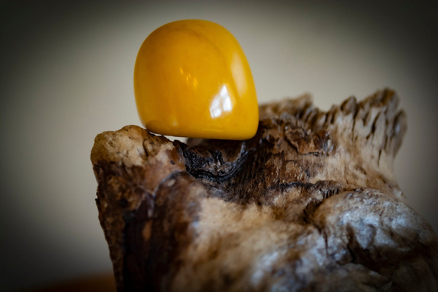 Natural Tagua Rings