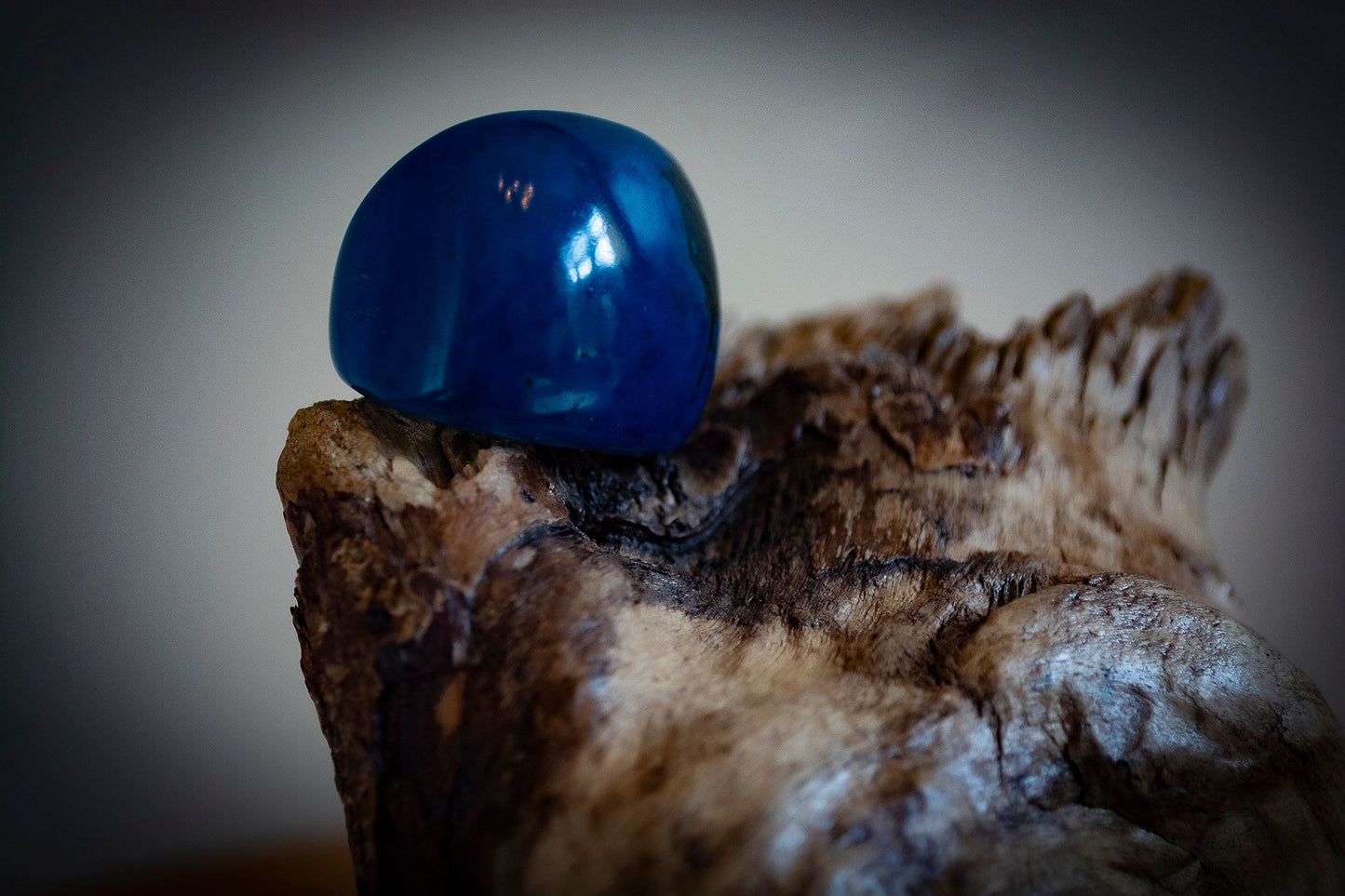 Natural Tagua Rings