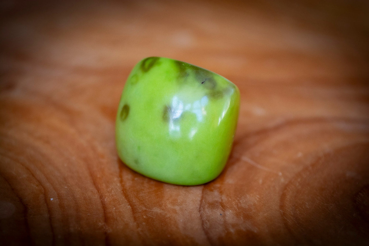 Natural Tagua Rings