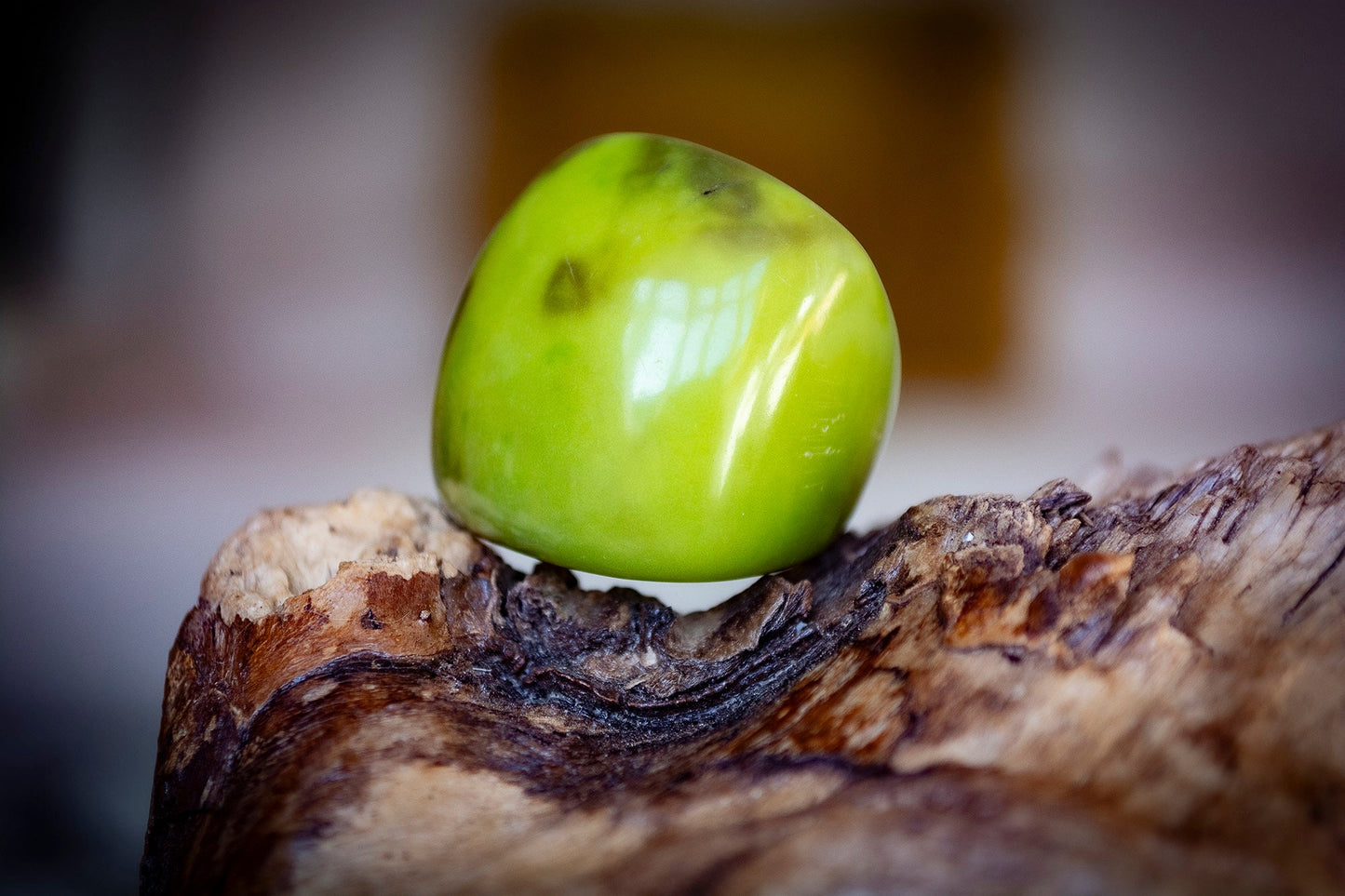 Natural Tagua Rings