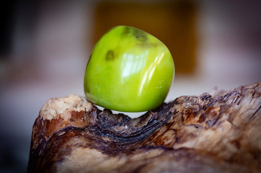 Natural Tagua Rings