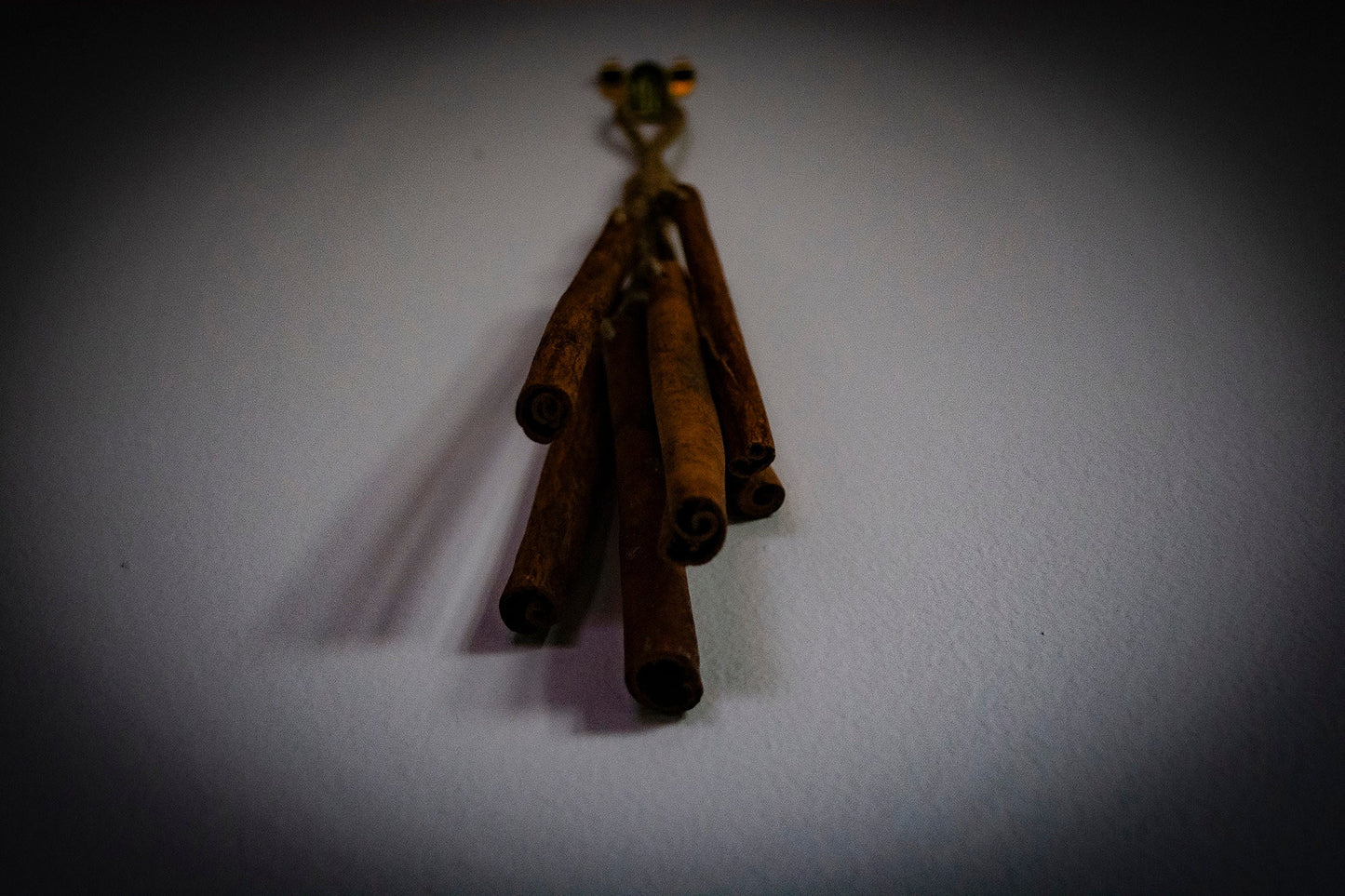 Handmade Thai Cinnamon Stick Shaker