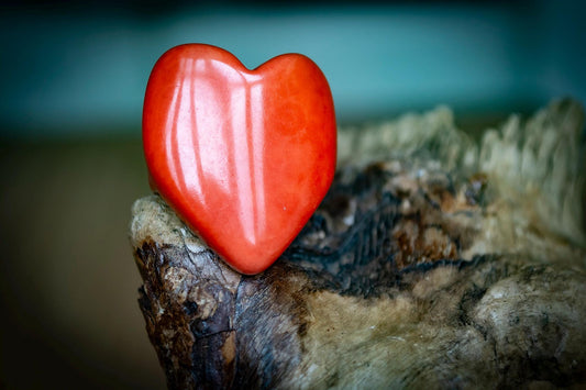Natural Tagua Heart Rings